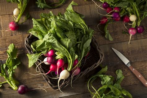 Keeping Your Radishes Fresh, Crisp & Crunchy After Harvest