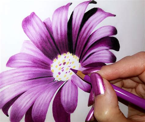 Drawing Colored Pencil Flowers