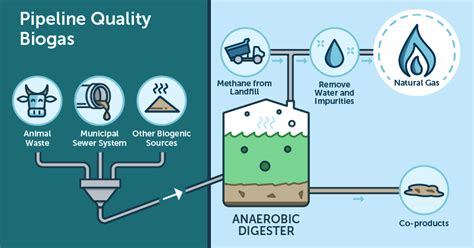 Biogas - Second Nature