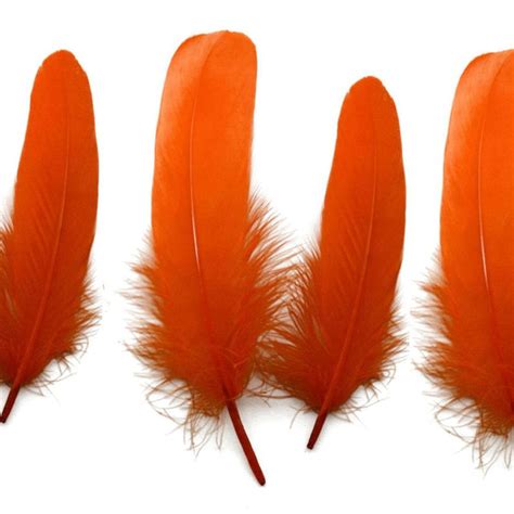 Orange Feathers for arts and crafts