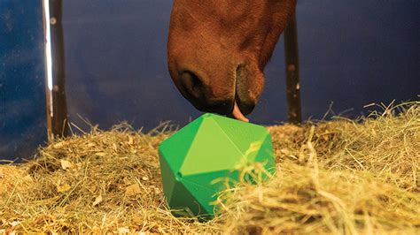 Horse Play with Equine Toys - Western Horseman