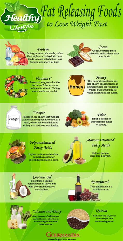 Foods To Lose Weight Fast Infographic