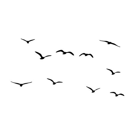 Beautiful Flying Birds Silhouette, Bird Silhouette, Bird Vector, Flying Birds PNG and Vector ...