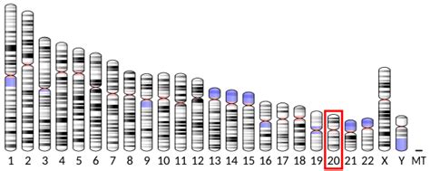 Cdk5 and abl enzyme substrate 2 - Wikipedia