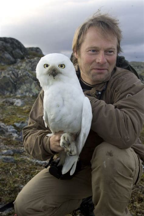 Satellite tracking of Norwegian Snowy Owls - BirdLife Norge