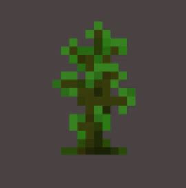 Jungle Sapling: Minecraft Pocket Edition: CanTeach