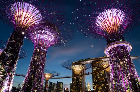 #764696 Gardens by the Bay, Singapore, Gardens, Street lights, Night - Rare Gallery HD Wallpapers