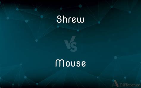 Shrew vs. Mouse — What’s the Difference?