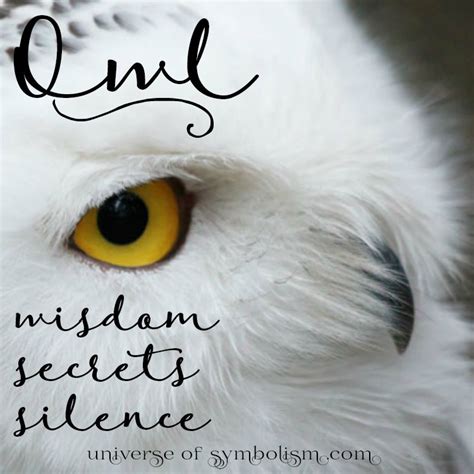 Symbolic Owl Meaning | Owl Spirit & Totem Animal Guidance