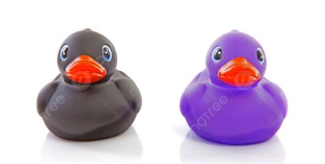 Two Rubber Ducks Isolated On White Background Bath Play Swim Photo And Picture For Free Download ...