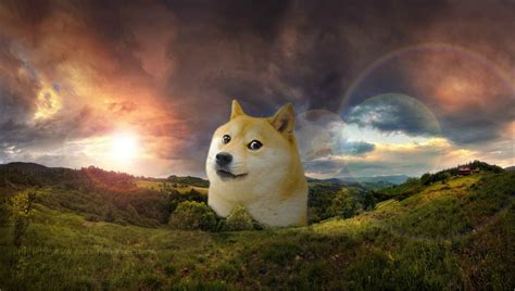 HD Doge Wallpaper - WallpaperSafari