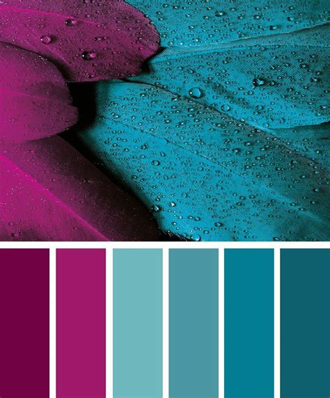 teal color palette ideas - Expose Log-Book Picture Show