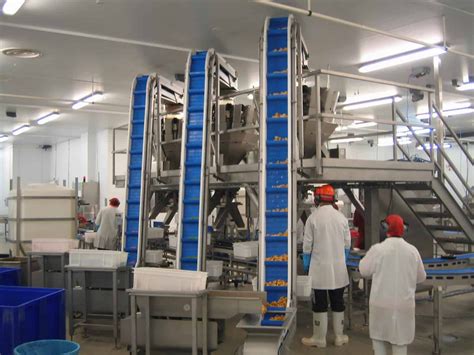 Vertical Conveyor System – Practical, Affordable Solutions - https://www.wrightfield.co.uk/news ...