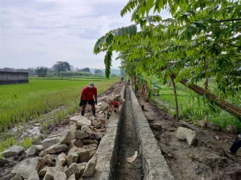 Pembanguan Saluran Irigasi Tersier Di Karang Ploso - Website Kalurahan ...