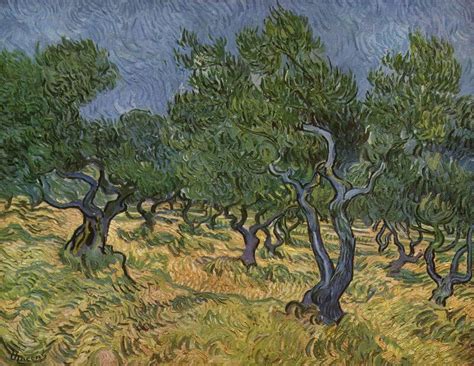 Olive Trees, 1889 by Vincent Van Gogh