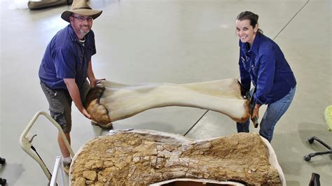 Dinosaur Bones Found in Australia, One of the Biggest