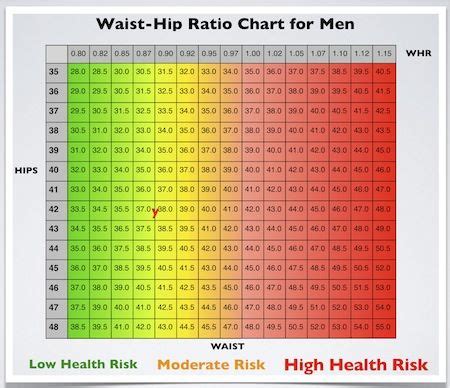 Discover the Importance of Waist-Hip Ratio for Your Health