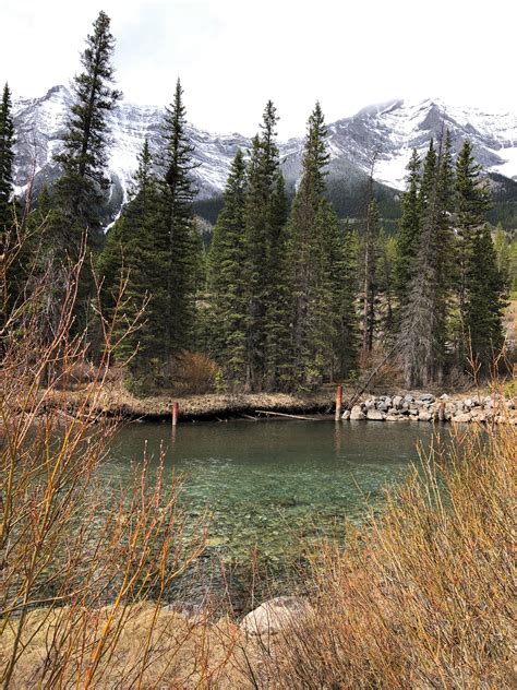 Staying at the Kananaskis Mountain Lodge - Sue's Juice