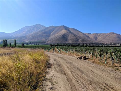 Santa Rita Wine Tour: Vineyard Biking and Vino Sipping in Chile - Sublime Imbibing