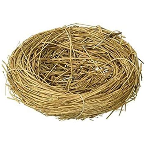 3" Bird's Nest - BC Playthings