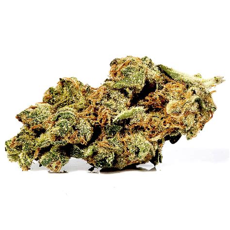 Sour Diesel by Gelato Seeds | Sour Diesel feminized seeds for sale