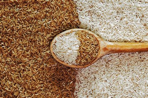 Rice vs Wheat – Which is Healthier? - NamKalam