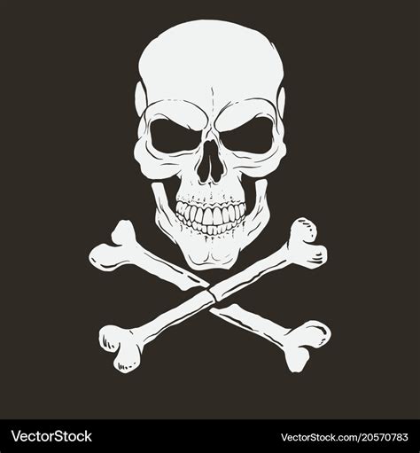 Pirate logo with skull and bones Royalty Free Vector Image