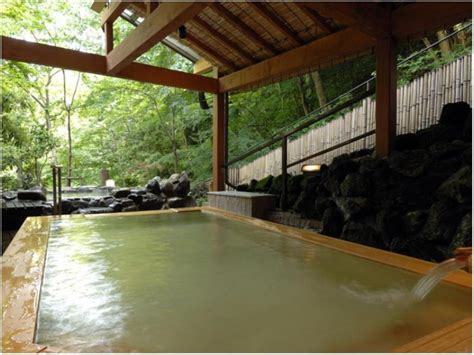 Hakone Yumoto Onsen Hotel Nanpuso Ryokan - Deals, Photos & Reviews