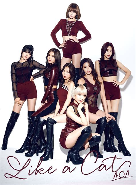 Image - AOA Like a Cat Japanese CD cover.png | Kpop Wiki | FANDOM ...