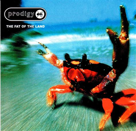 Prodigy* - The Fat Of The Land (2002, CD) | Discogs