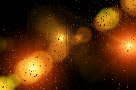 The Colors Shine On Rainy Days Free Stock Photo - Public Domain Pictures