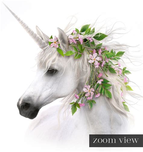 Animals with Flower Crowns - The Crown Prints