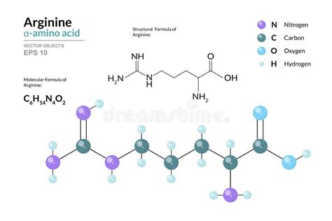 Arginine Molecule Structure Stock Vector - Illustration of pattern, blue: 21182077