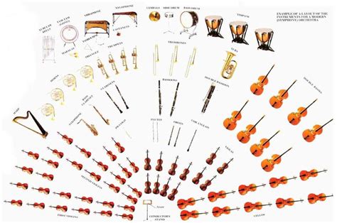 Symphony Orchestra Layout