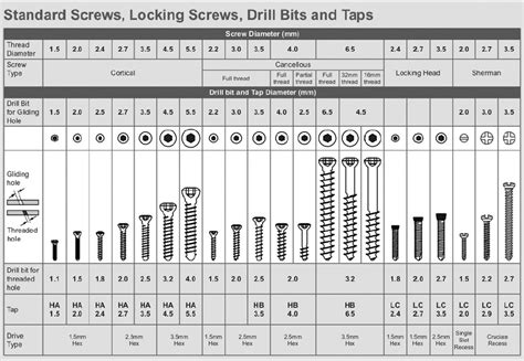 Screws Sizes Chart & Screws Thread Chart Manufacturer and Suppliers India - Raaj Sagar Steels