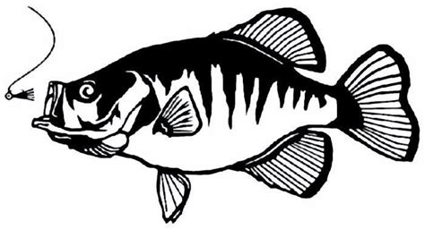 clipart crappie 10 free Cliparts | Download images on Clipground 2024