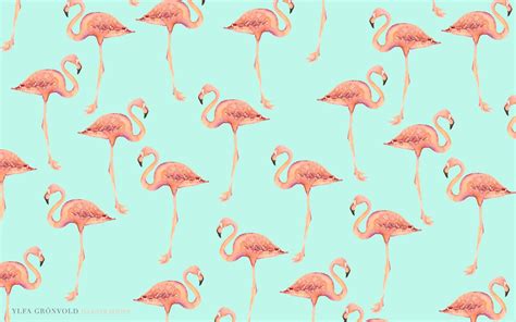 Flamingo Desktop Wallpapers - Top Free Flamingo Desktop Backgrounds - WallpaperAccess