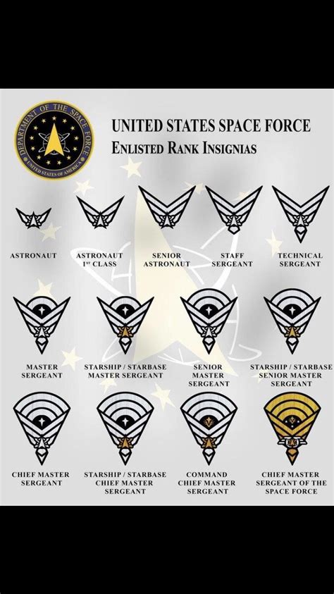 Ranks for the Space Force : r/SpaceForce