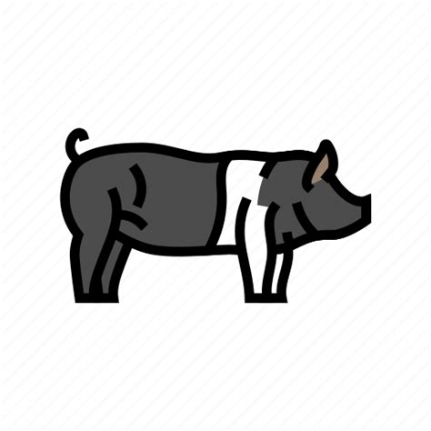 Hampshire, pig, breed, pork, farm, animal icon - Download on Iconfinder