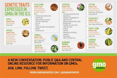 GMO Examples and Their Impact on our Food | GMO Answers