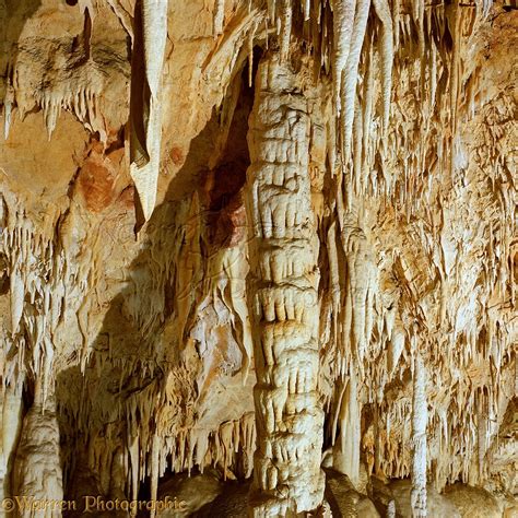 Stalactites and Stalagmites photo WP00353