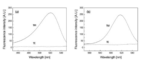 Fluorescence intensity spectra obtained for (a) Alexa Fluor 488 and (b ...