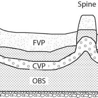 14: Schematic cross section of a rhyolite lava flow showing pumice... | Download Scientific Diagram