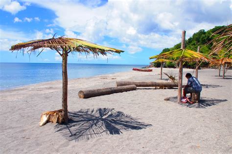 Having It Made In The Mero Beach Shade, Dominica | Dominica