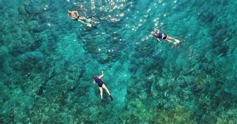 Best Snorkeling Spots on the Big Island, Hawaii - Sea Paradise