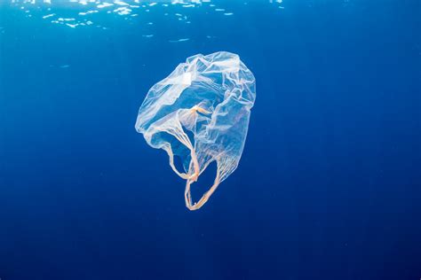 skladačka po sebe Obloha plastic bag facts Prezliecť sa tím plynový