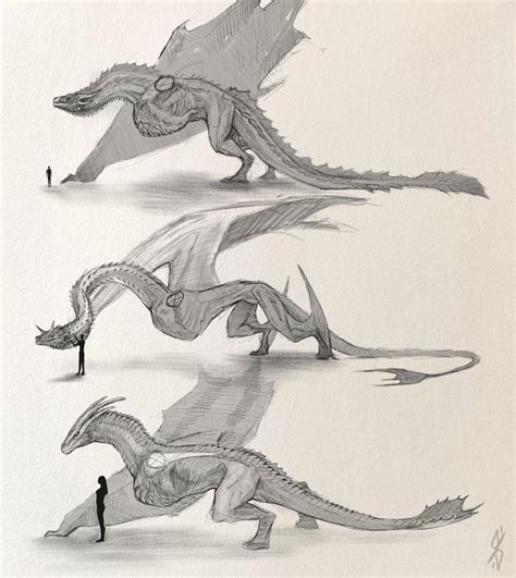 Dragon anatomy by sioSIN on DeviantArt