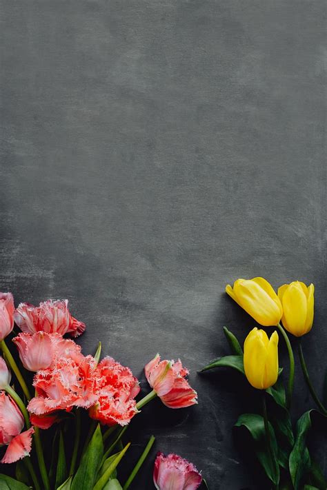 Details more than 51 grey flower wallpaper latest - in.cdgdbentre