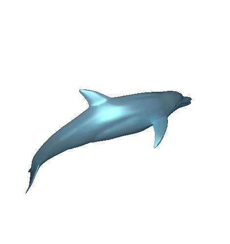 Dolphin Gif - ClipArt Best