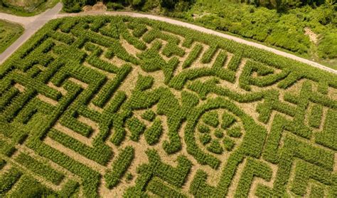 10 Best Corn Mazes Near NYC - PureWow